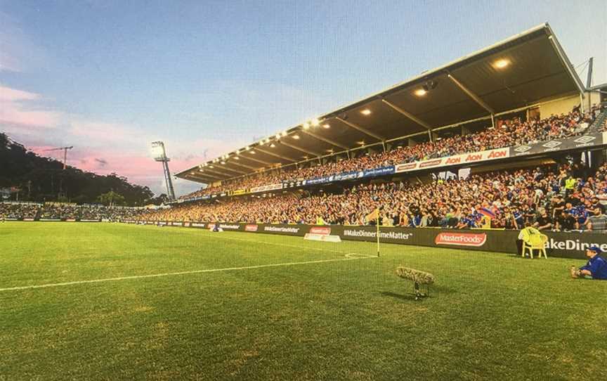 Central Coast Stadium, Gosford, NSW