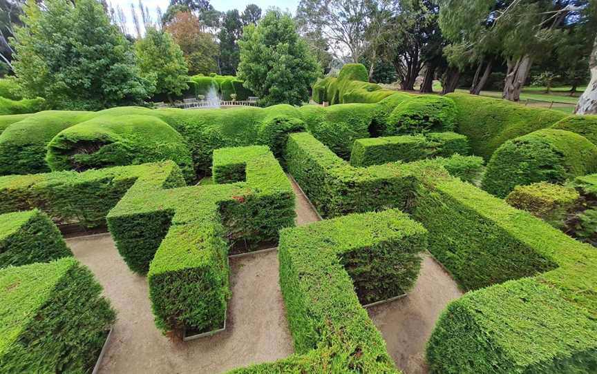 Ashcombe Maze & Lavender Gardens, Shoreham, VIC