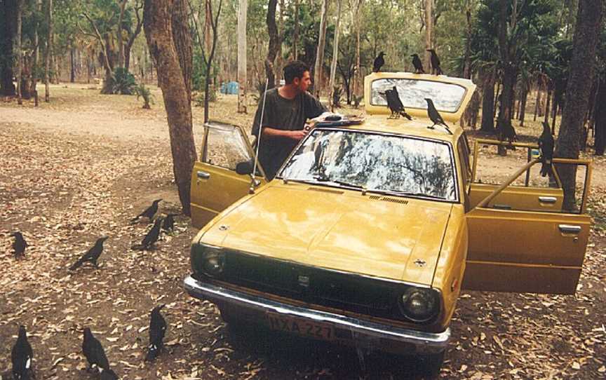 Carnarvon Gorge, Carnarvon National Park, QLD