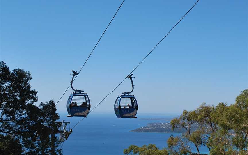 Arthurs Seat Eagle, Arthurs Seat, VIC