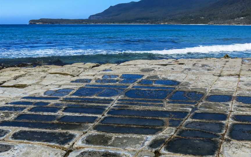 Tessellated Pavement, Eaglehawk Neck, TAS