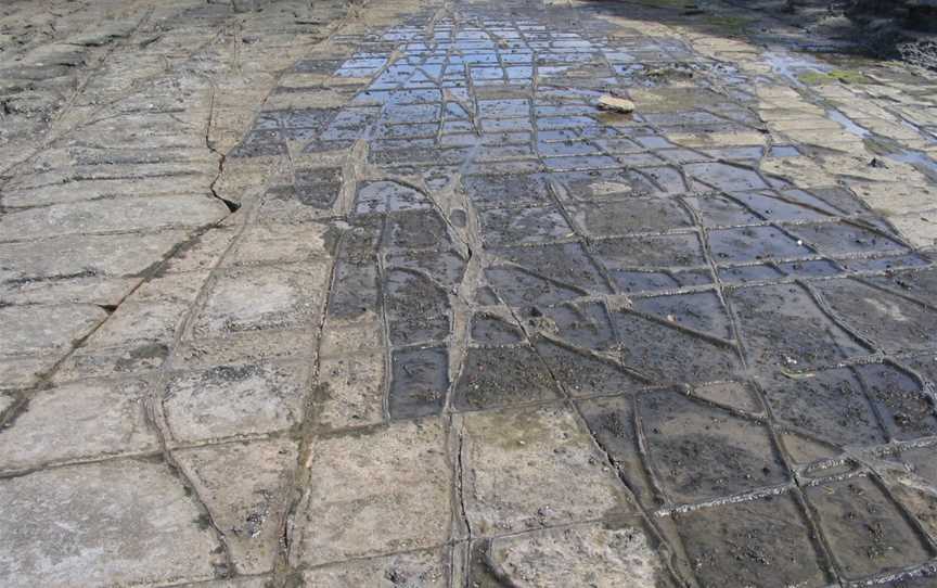 Tessellated Pavement, Eaglehawk Neck, TAS