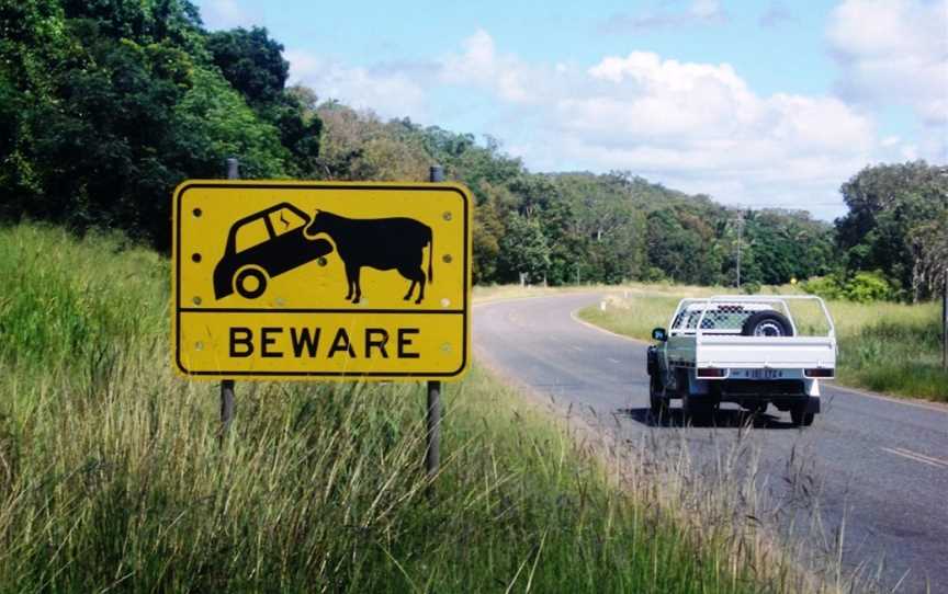 Cape York Peninsula, Somerset, QLD