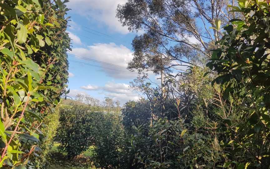 Granties Maze, Foxground, NSW