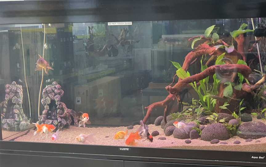 B & C Aquarium, Matraville, NSW