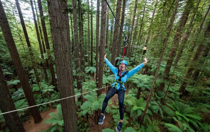 Redwoods Treewalk, Whakarewarewa, New Zealand