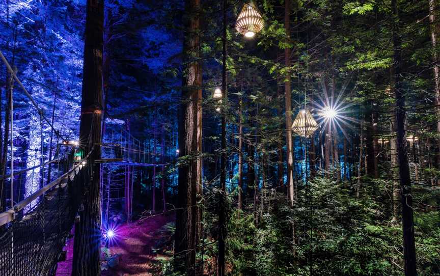 Redwoods Treewalk, Whakarewarewa, New Zealand