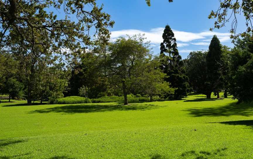 Auckland Domain, Grafton, New Zealand