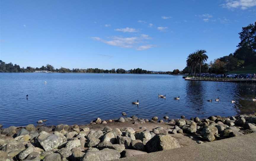 Hamilton Lake Domain, Hamilton Lake, New Zealand