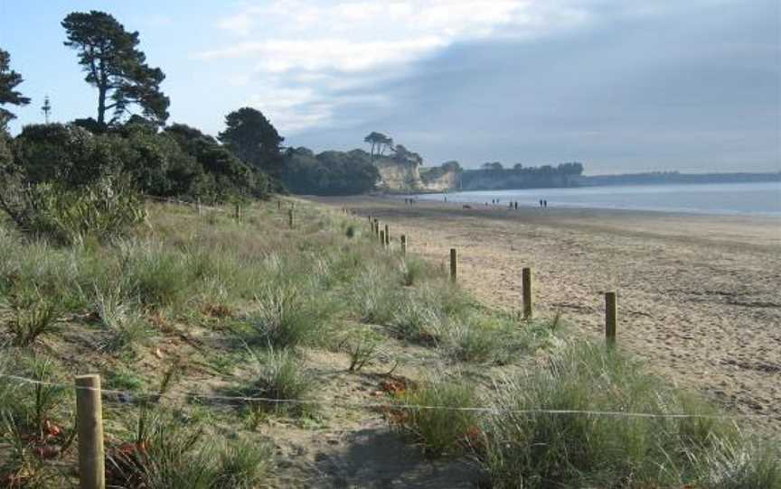 Long Bay Regional Park, Long Bay, New Zealand