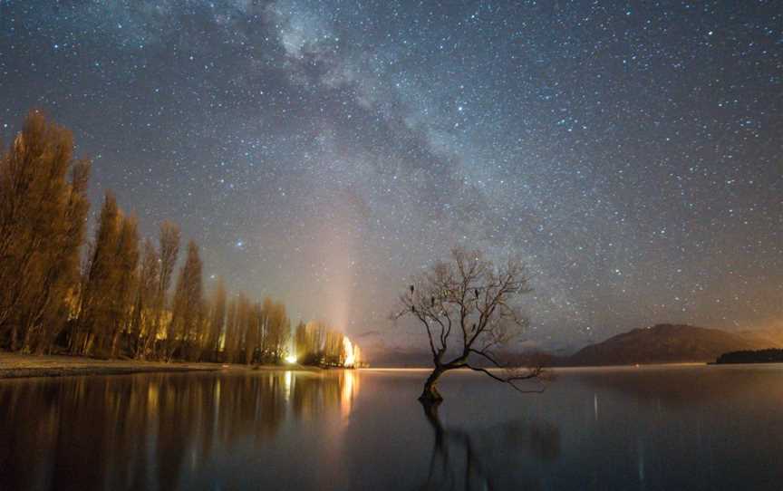 #ThatWanakaTree, Wanaka, New Zealand