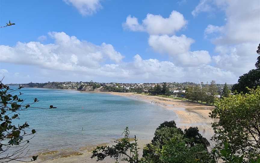 Browns Bay Beach Reserve, Browns Bay, New Zealand