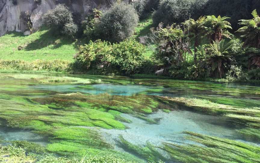 Blue Spring Putaruru, Putaruru, New Zealand