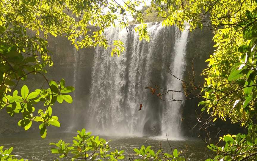 Rainbow Falls (Waianiwaniwa), Kerikeri, New Zealand