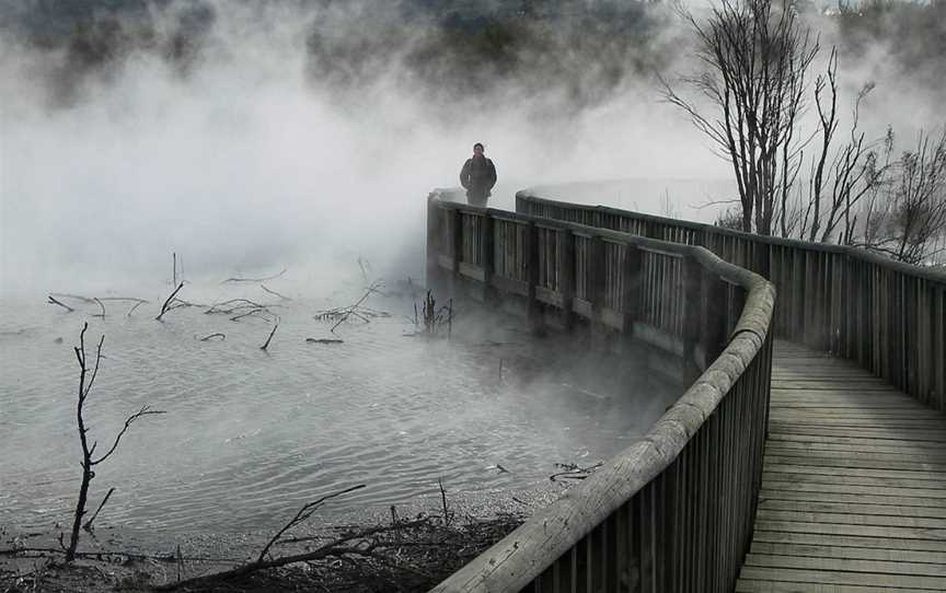 Kuirau Park - Mud Pools, Rotorua, New Zealand