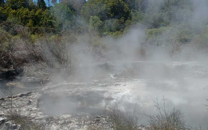 Kuirau Park - Mud Pools, Rotorua, New Zealand