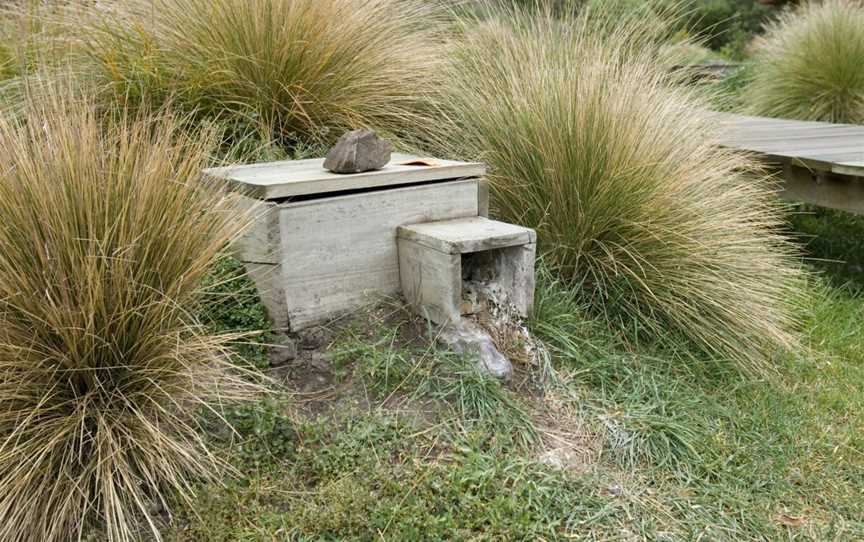 Oamaru Blue Penguin Colony, South Hill, New Zealand