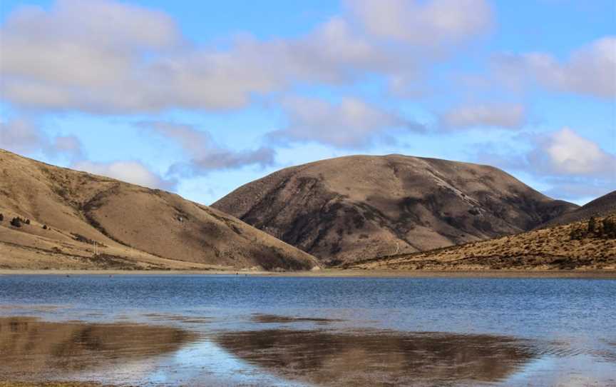 Castle Hill Conservation Area, Castle Hill, New Zealand