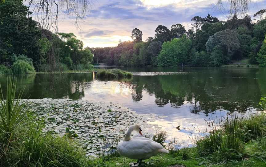 Rotokawau/Virginia Lake Reserve, Whanganui, New Zealand