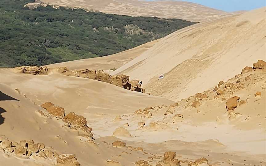 Giant Sand Dunes, Kaitaia, New Zealand