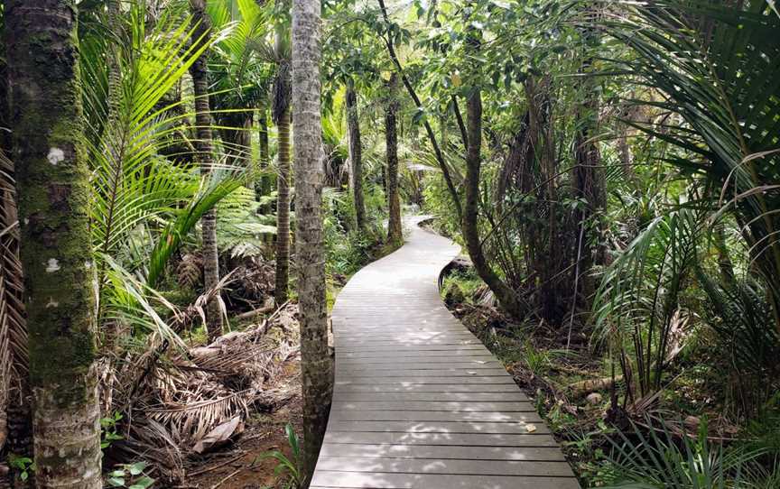 Kitekite Falls, Piha, New Zealand