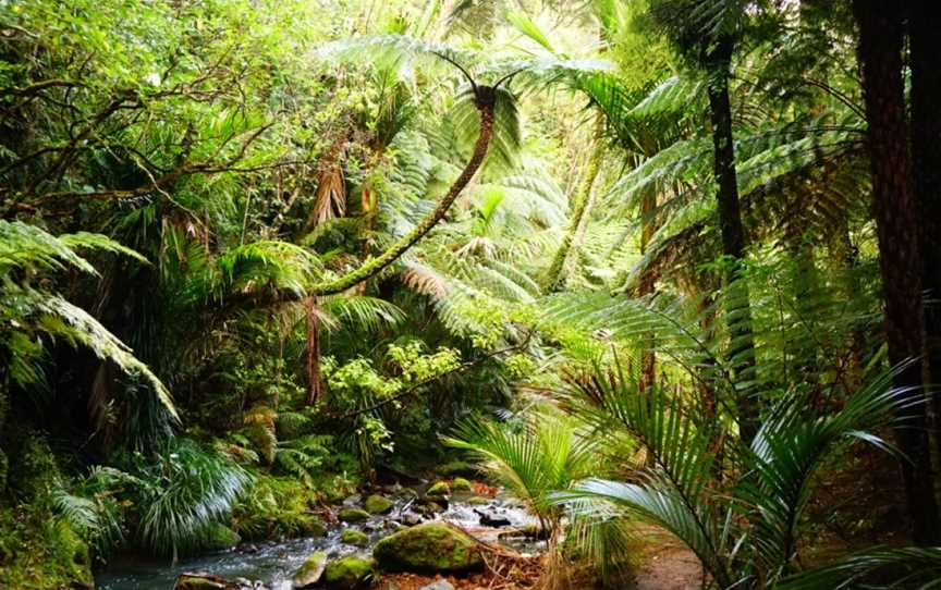 Kitekite Falls, Piha, New Zealand