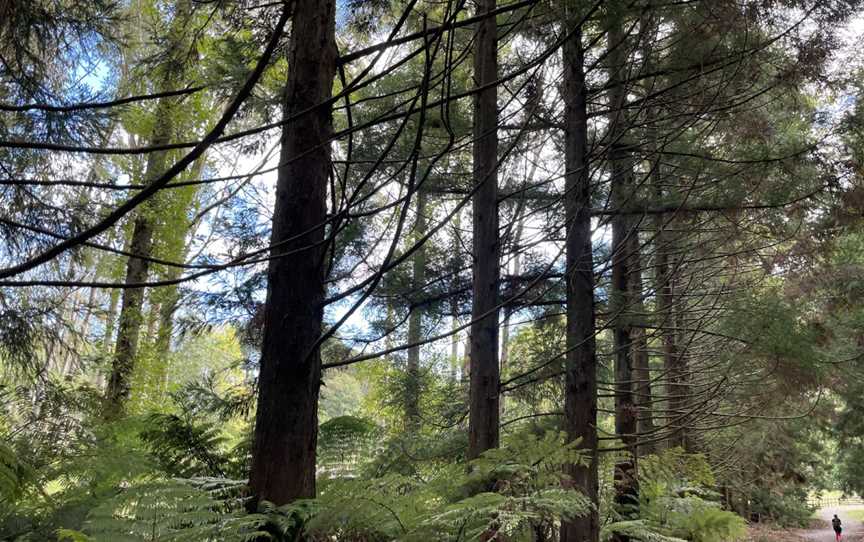 Taitua Arboretum, Temple View, New Zealand