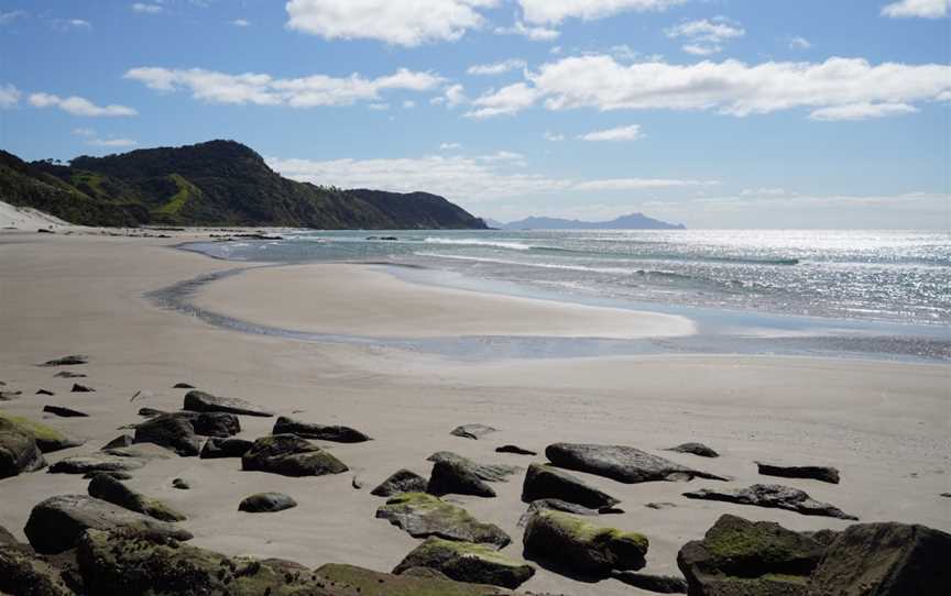 Mangawhai Heads Beach, Mangawhai Heads, New Zealand