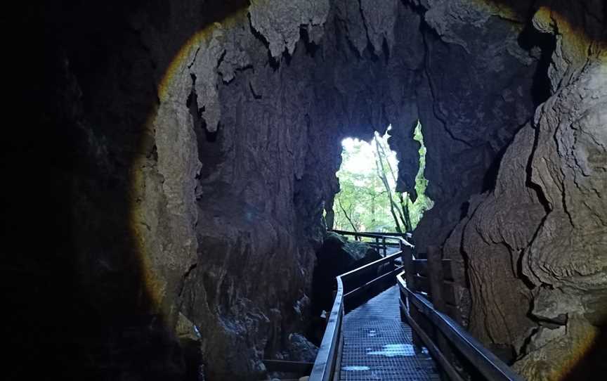 Waiomio Glowworm Caves, Bay of Islands, New Zealand