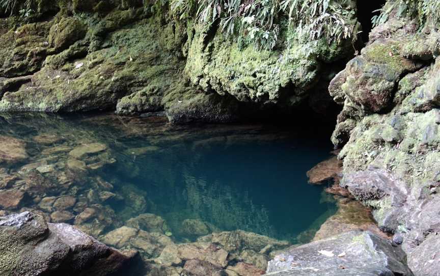 The Riuwaka Resurgence, Riwaka, New Zealand