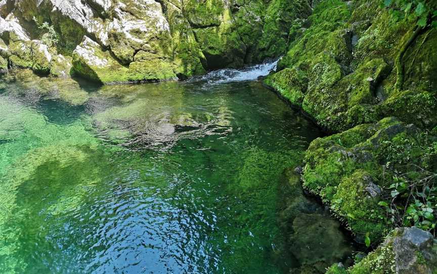 The Riuwaka Resurgence, Riwaka, New Zealand