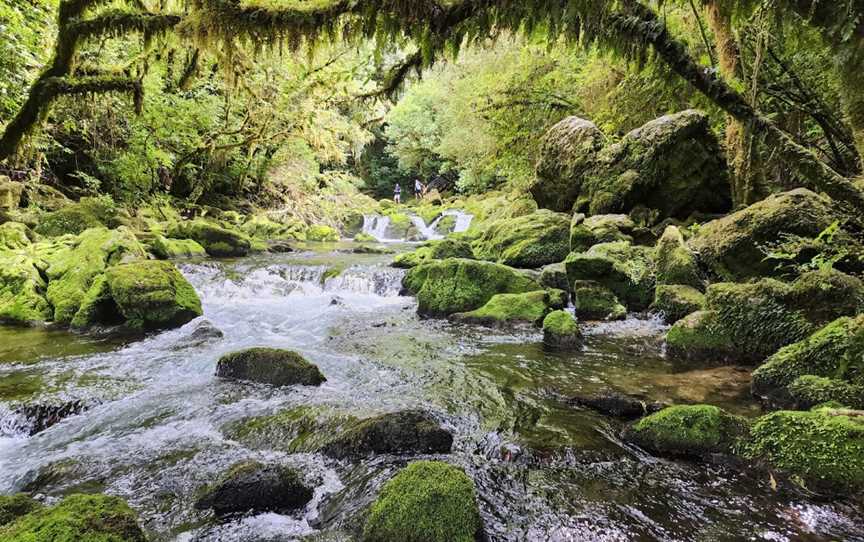 The Riuwaka Resurgence, Riwaka, New Zealand