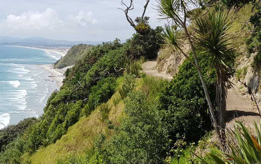 Mangawhai Cliff Walk, Mangawhai Heads, New Zealand