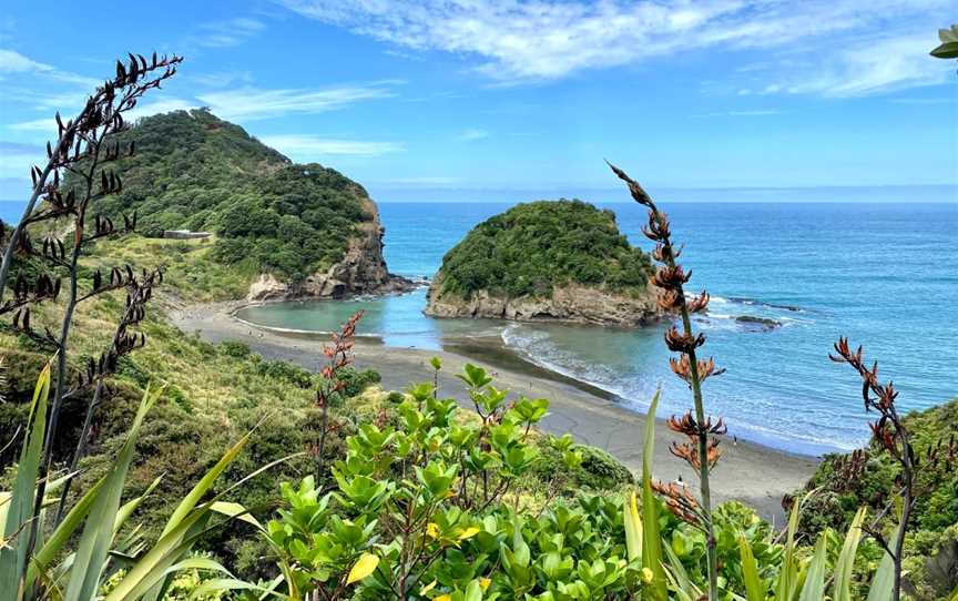 Te Henga Walkway, Waitakere, New Zealand