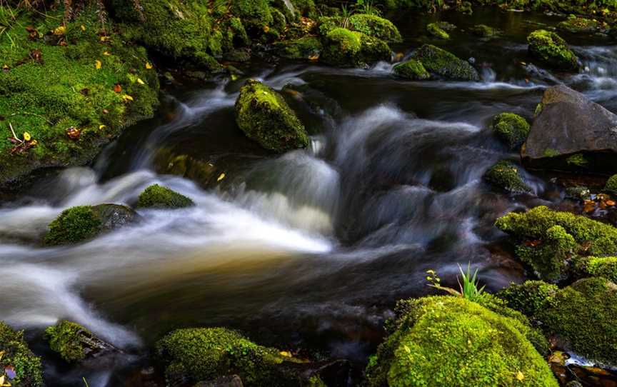 McLean Falls, Owaka, New Zealand