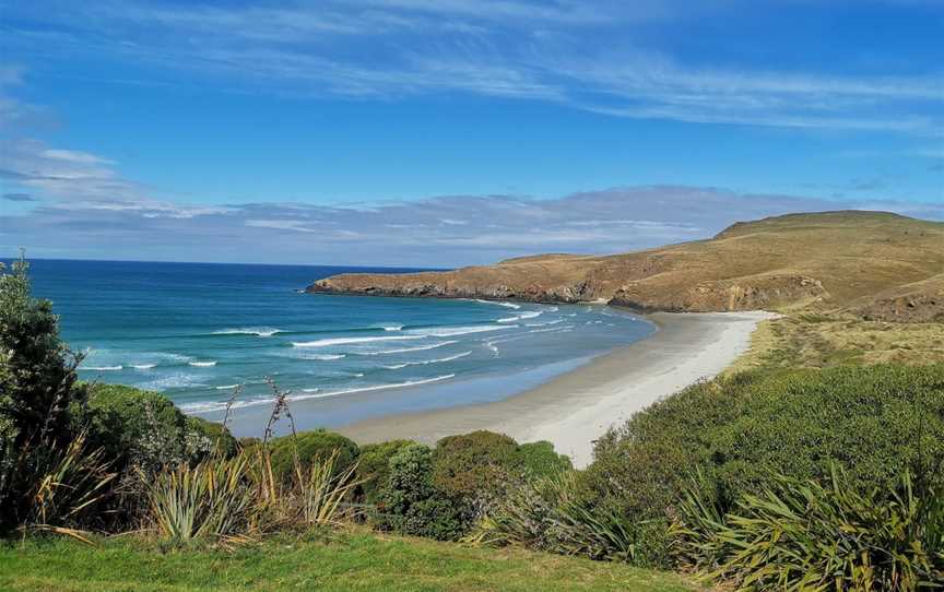 Penguin Place, Harington Point, New Zealand