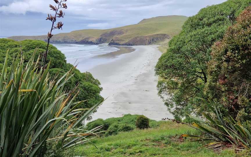 Penguin Place, Harington Point, New Zealand