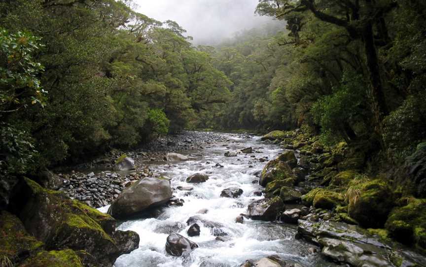 The Chasm Viewing Bridge, Fiordland, New Zealand