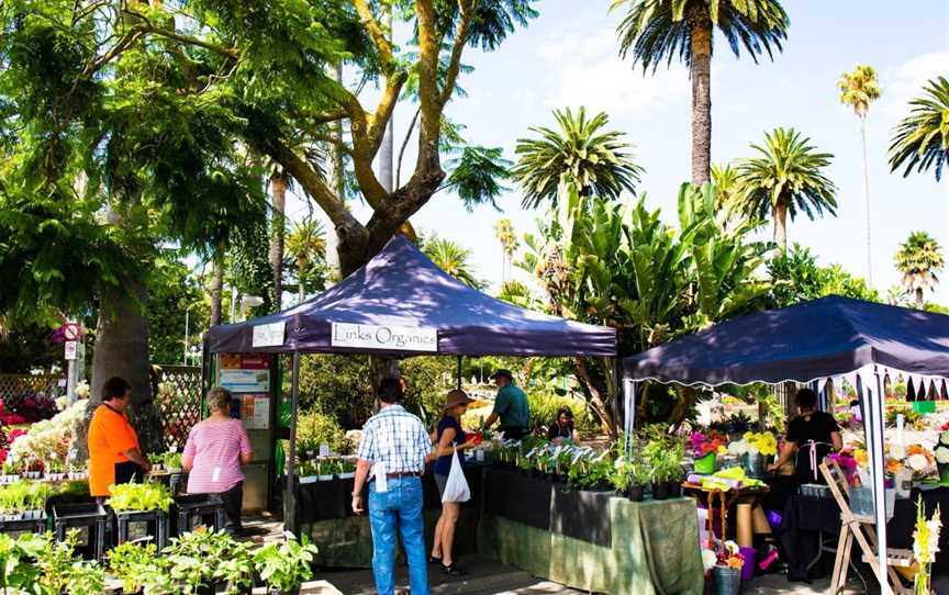 Napier Urban Farmer's Market, Napier South, New Zealand