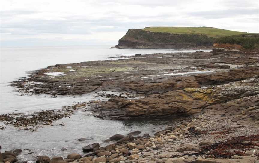 Curio Bay Cliffs, Riverton, New Zealand