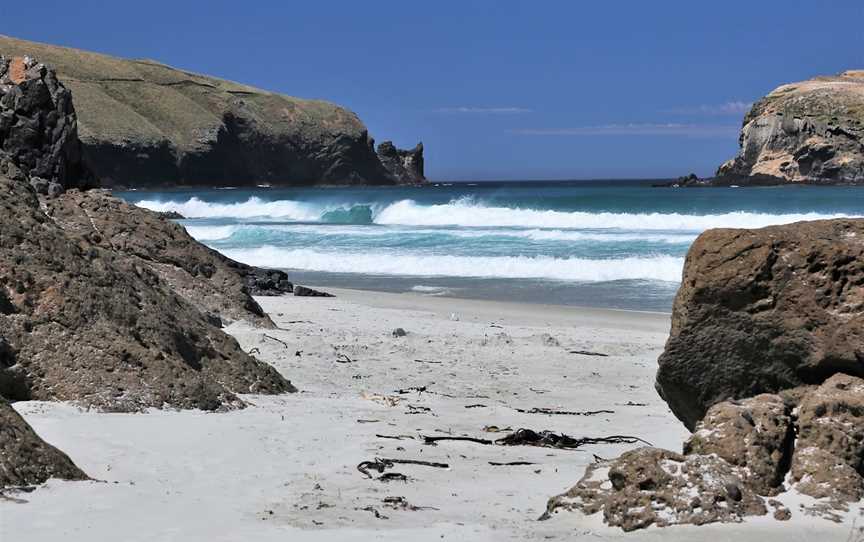 Allans Beach, Portobello, New Zealand