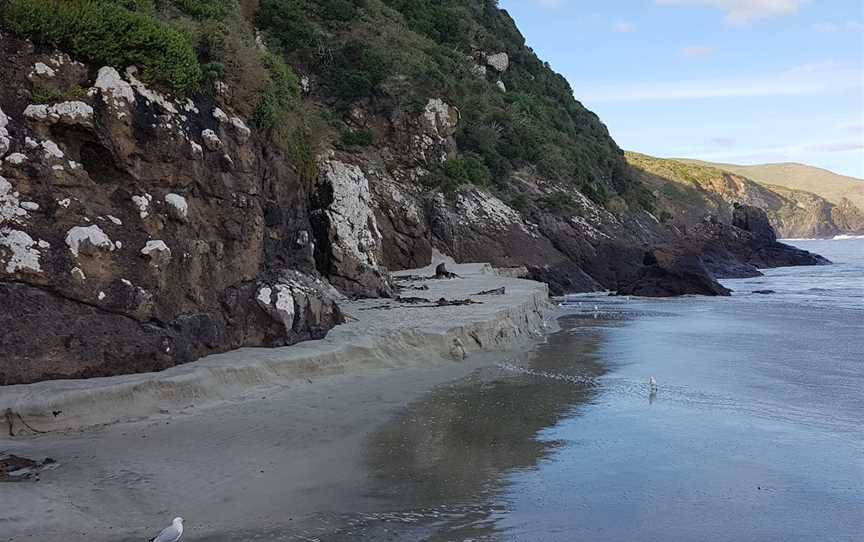 Allans Beach, Portobello, New Zealand