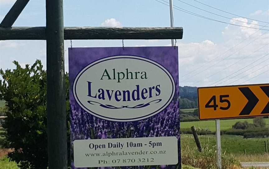 Alphra Lavender, Te Awamutu, New Zealand