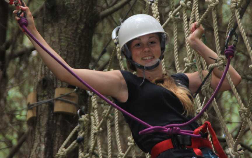 Adventure Forest, Glenbervie, New Zealand