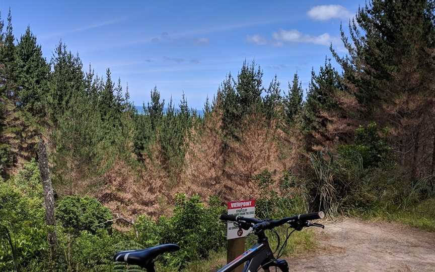 Woodhill Mountain Bike Park, Woodhill, New Zealand