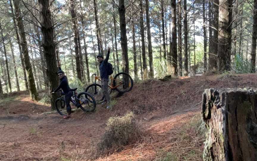 Woodhill Mountain Bike Park, Woodhill, New Zealand