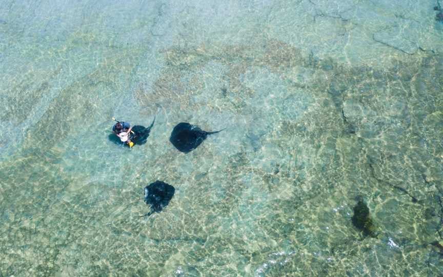 Dive Tatapouri, Gisborne, New Zealand