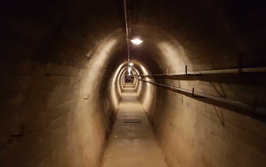 Wrights Hill Fortress, Karori, New Zealand