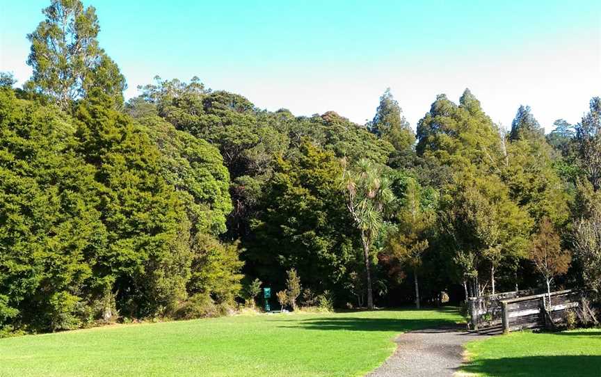 Trounson Kauri Park, Dargaville, New Zealand