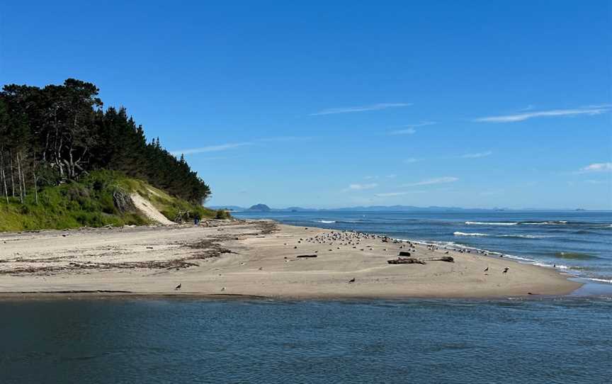 Kaituna Scenic Reserve, Papamoa Beach, New Zealand